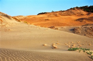 La Paz Sand Dune